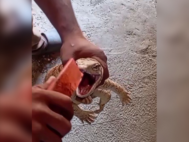 Nasrdagi yigitga seksual xabarlar