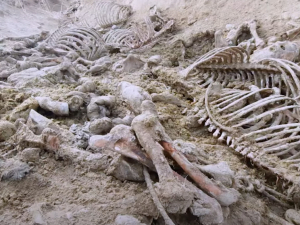 Retro hammomida yalangoch