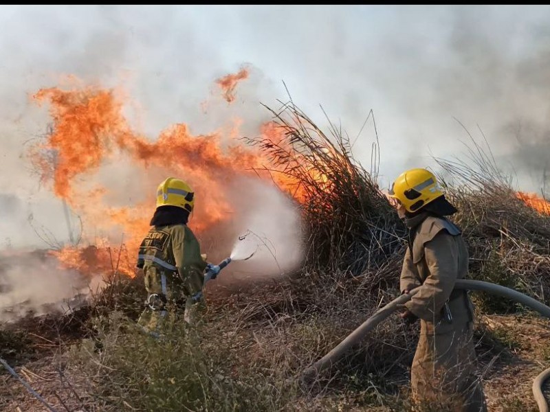 Fire breaks out in “Zarafshan” National Park