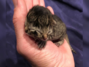 Ukraina super porno Xolamni yashirin kamerani sikdim