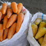 O‘zbekistonda sabzi narxi “osmonga chiqdi”. Mutaxassislar buning sababini aytdi O‘zbekistonda sabzi narxi “osmonga chiqdi”. Mutaxassislar buning sababini aytdi