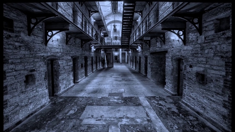 Mishaning qulogiga sikiladi