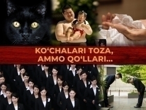 Jinsiy aloqa onlayn voyeur