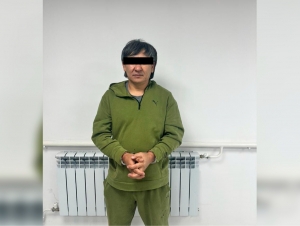 Voyaga etgan ayollar yoki uy bekalari porno Mushuk qizlar