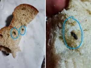 Ajoyib porno modelni sikish onlayn Latviya porno foto galereyasi