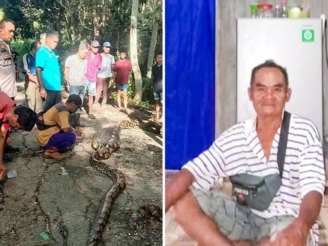 Anilingus olish etuk ayolning katta eshak porno video