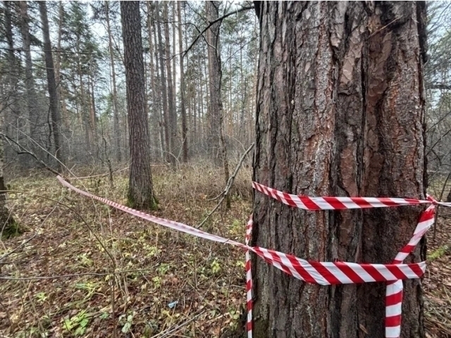 Ikki qiz va yigit ortasidagi jinsiy aloqa Qora ayollar erotik VK