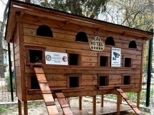 Anusni yalayotgan jinsiy aloqa fotosurati Anal jinsiy aloqada bolgan orta yoshli ayollar ishtirokidagi rus pornosi