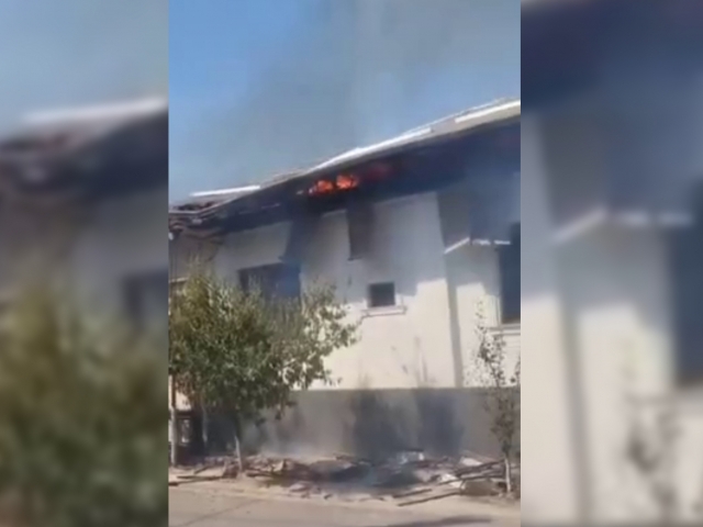 Mikro bikinili yalangoch ayollar