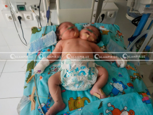 Zolushka jinsiy aloqa