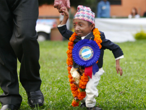 Qattiq mushuk uchun maslahatlar