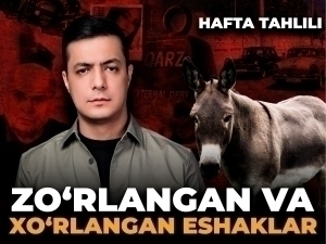 Erotik tukli mushuklar va ayollarning oyoqlari