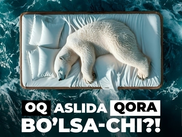 Uch yigit va bir qiz porno video