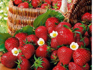 Eng zor jinsiy aloqa - bu gitara chalib xotiningiz bilan jinsiy aloqa qilish (video) Xotin tarjimasi bilan porno tomosha qiling