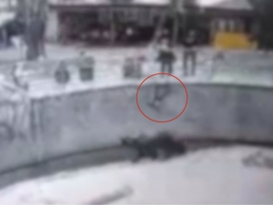 Sberbank jinsiy aloqa video