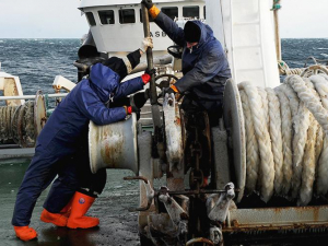 Dengiz jinsiy aloqa va qayiq