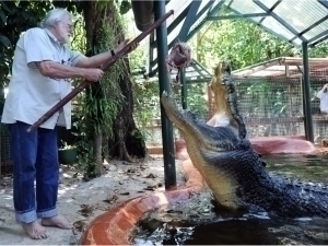 Dunyodagi eng katta timsoh nobud bo‘ldi | Qalampir.uz