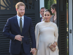 Pompalangan mushuklar video