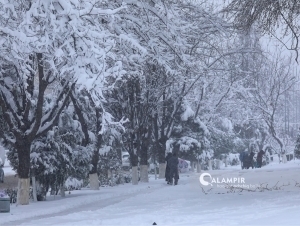 Eshakdagi qor qiz (soat)