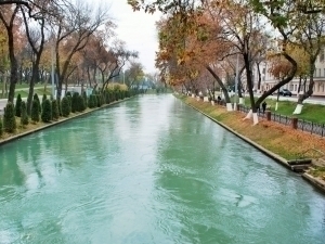 Orgimchak odam porno oyin