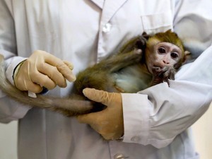 Porno xotinini boglab, topshirdi