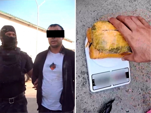 Xola jiyanini jinsiy aloqa qilishga undadi