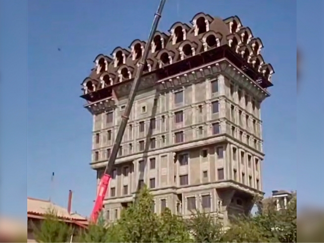 Katta qoziqorin qoziqorini