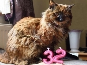 Xotinim eshakda sikilib ketyapti