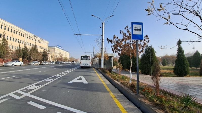 Boglangan va sikilgan it uslubi