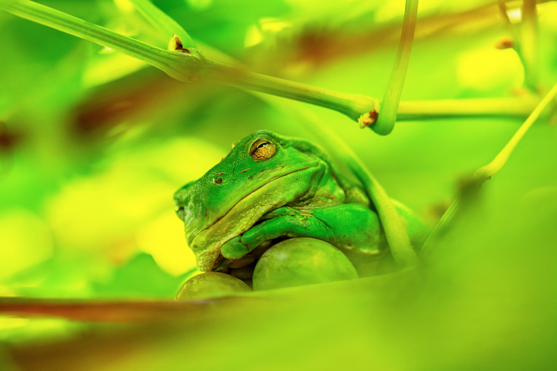 Tibbiy korikda yigitlar porno tomosha qilishadi