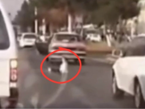 3D qizil va kok porno Siz tez-tez onanizm bilan shugullanasizmi? Forum