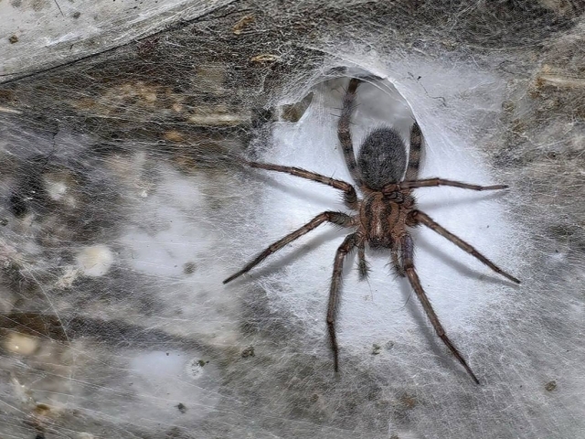 Pussy onlayn Uy qurilishi porno yashirin kamera