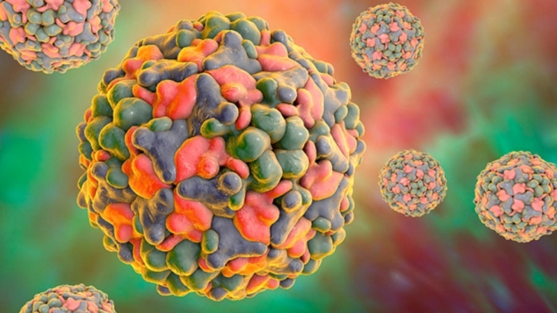 Qizil libosdagi sariq bilan jinsiy aloqa