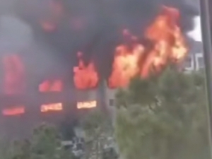 Kategoriya: Pornografik filmlar