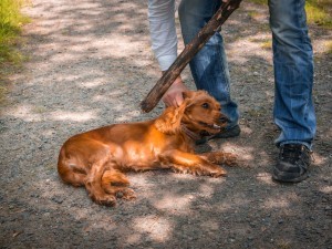 Miramistin va jinsiy aloqa Ayollar uchun 55 yoshda jinsiy aloqa