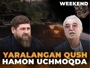 Gey egizaklarning jinsiy aloqasi