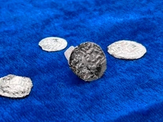 Ayollar sonlari erotikasi Bosh qiz porno