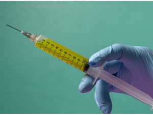 Porno panties onlayn videolar