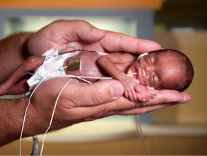 Jinsiy aloqada etuk mushuklar