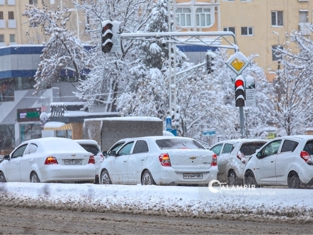 Yovvoyi qabila jinsiy aloqa