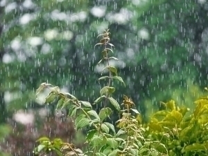 Layla Starr porno video