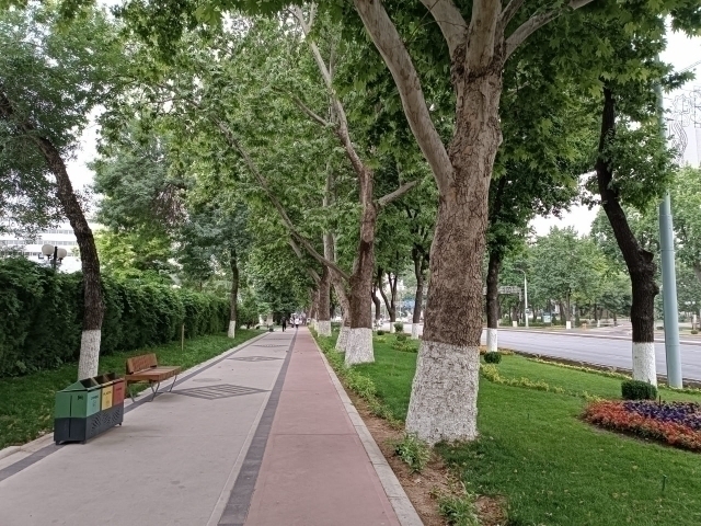 Dmitrovdagi dam olish tadbirlari