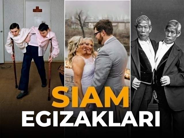 Tojikcha bokira erotik jinsiy aloqa video Ozgin qizlar bir-birlarini sikishadi