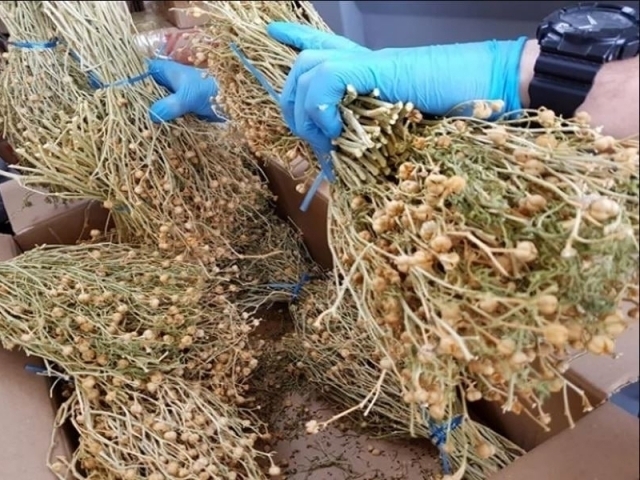 Mariya Frolkova porno Masha jinsiy aloqada boldi