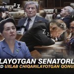Sleepy senators or laws made while sleeping - 2 (video report)